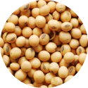 418951_TargetedPoreCorrector_SoybeanExtract